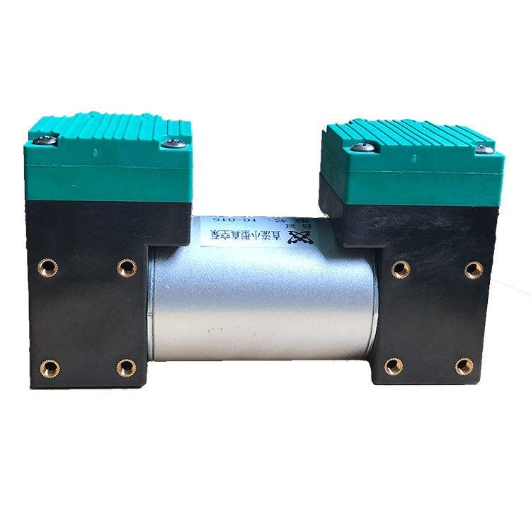 醫(yī)療美容雙吸小型真空泵